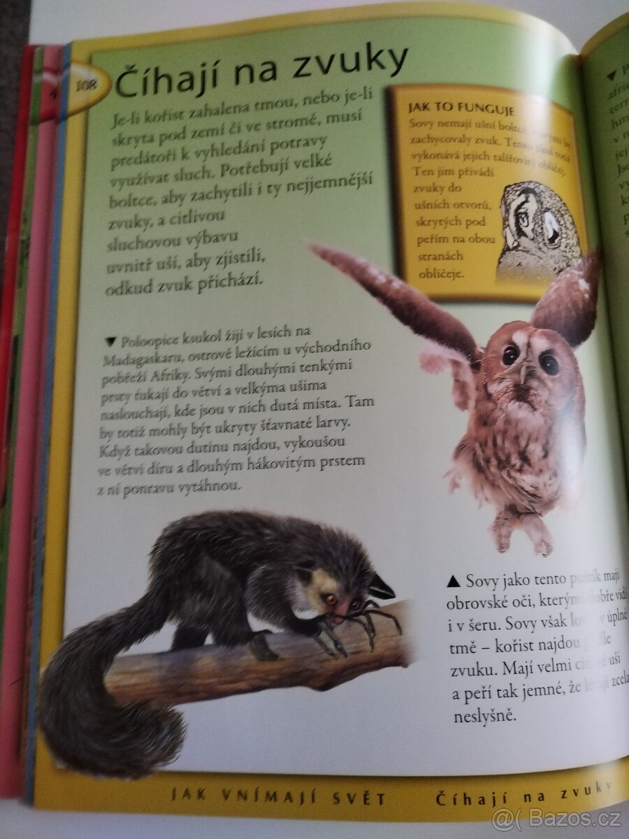 Vše co byste měli vědět o zvířatech - 3