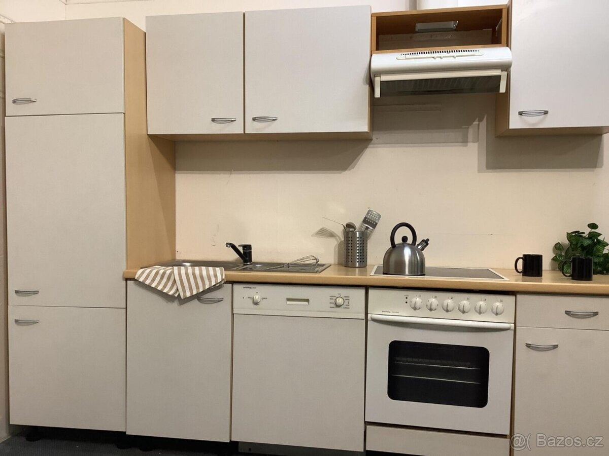 Rovná kuchyňská linka ZOE - 3