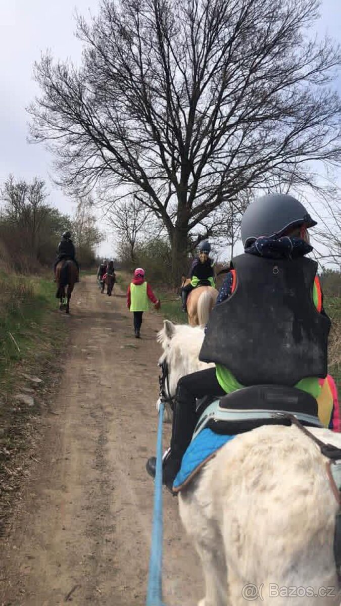 zlatá pony klisna - 3