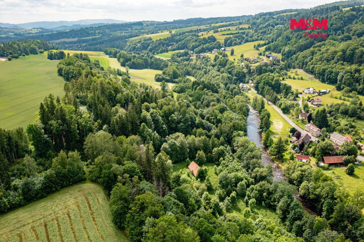 Prodej lesa, 36610 m², Peřimov - 3
