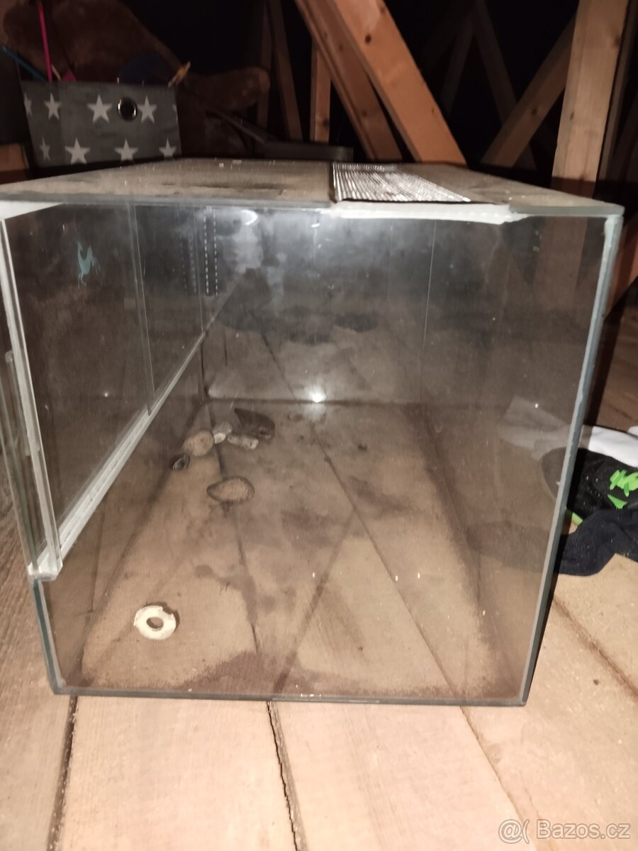 Terarium - 3