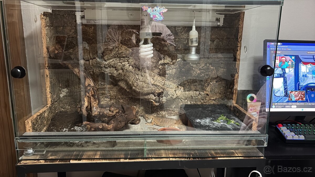 Terarium pro agamu - 3