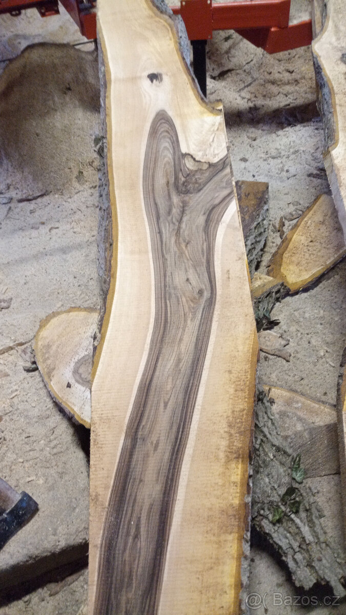 Fošny OŘECH, TŘEŠEŇ, JASAN - 3