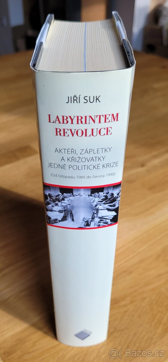 Suk, J.: Labyrintem revoluce, vydal Prostor 2009 - 3