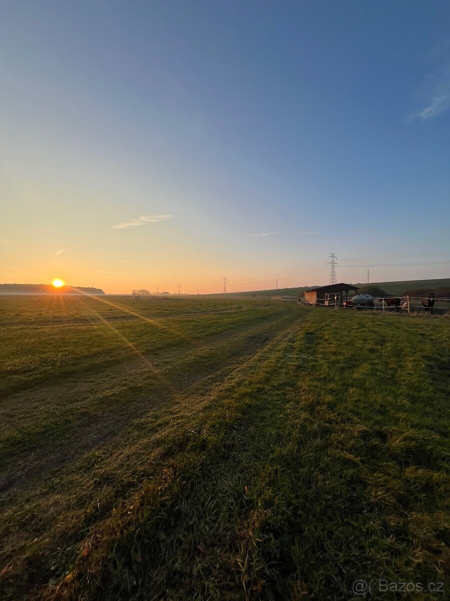 Pastevní ustájení v klidné rodinné stáji od JARA - 3