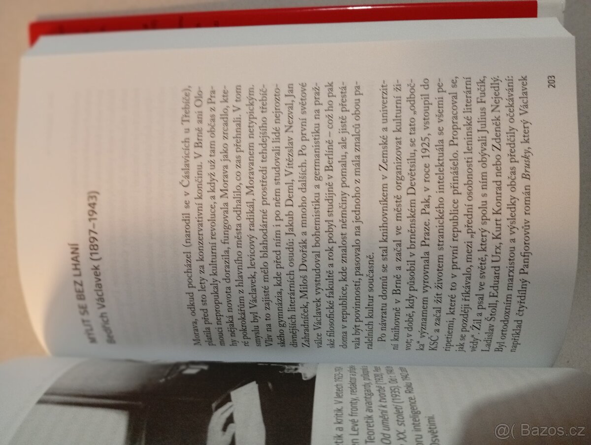 Česká inteligence - 3