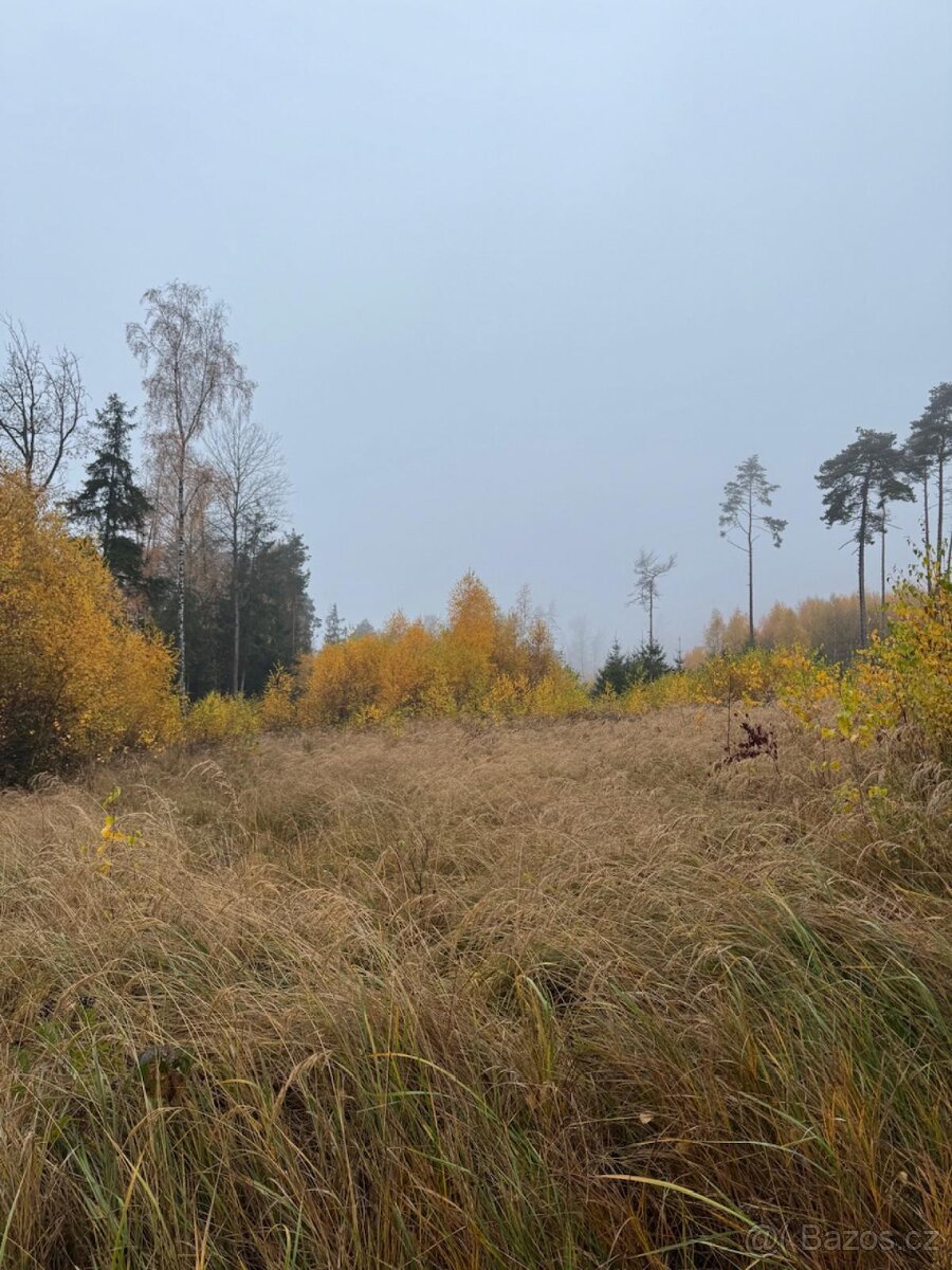 Prodej lesních pozemků k.ú. Úboč - 3