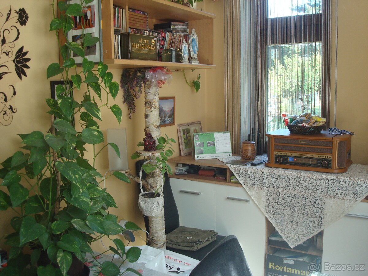 Prodej nebo výměna - 3