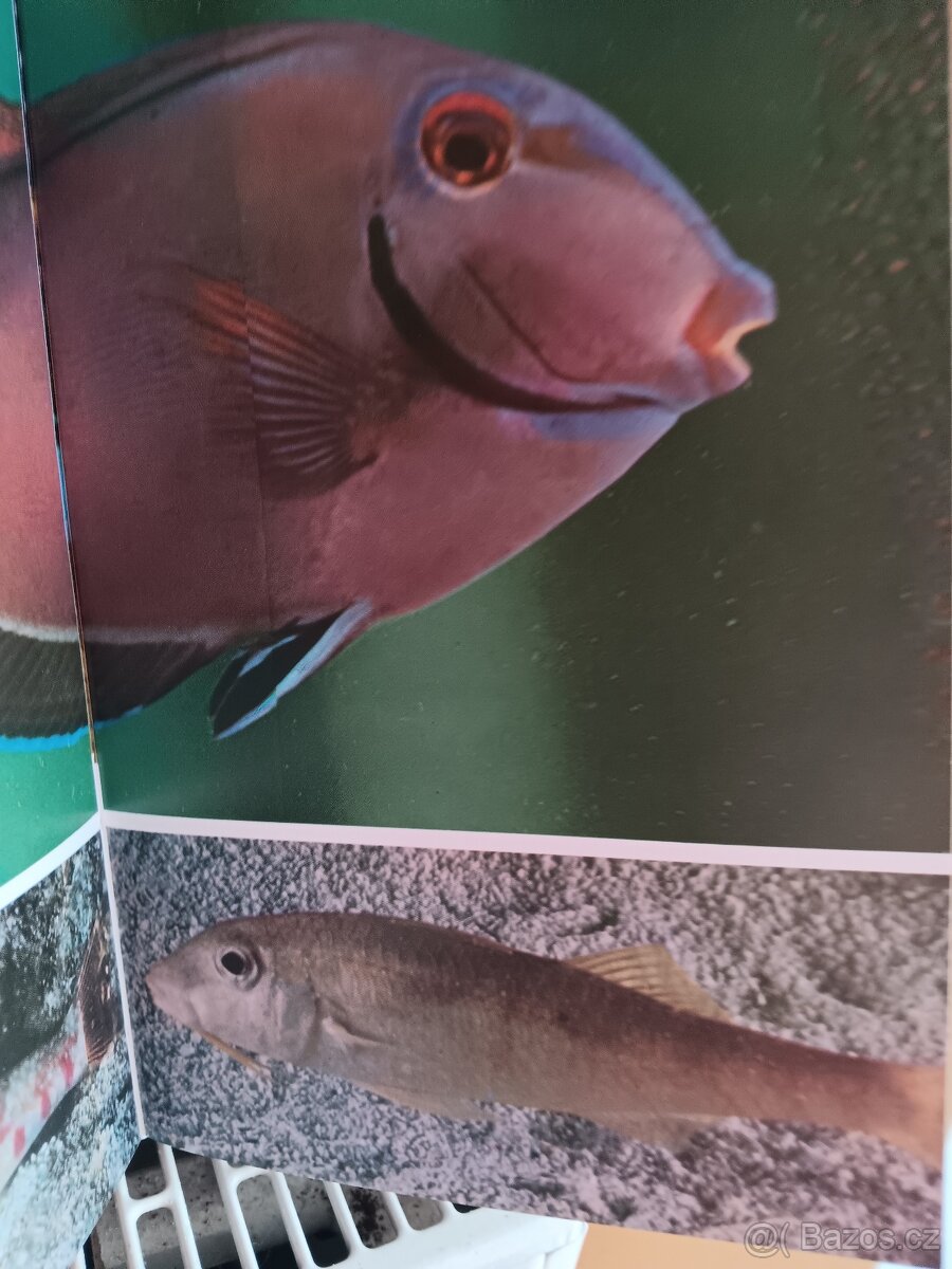 Knaurs Tierreich in Farben r.79 - 3