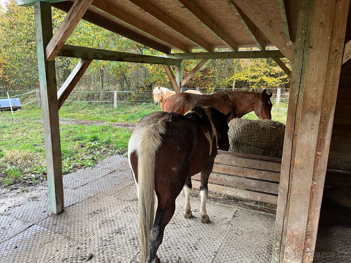 Příkrmiště pro koně + síť - 3