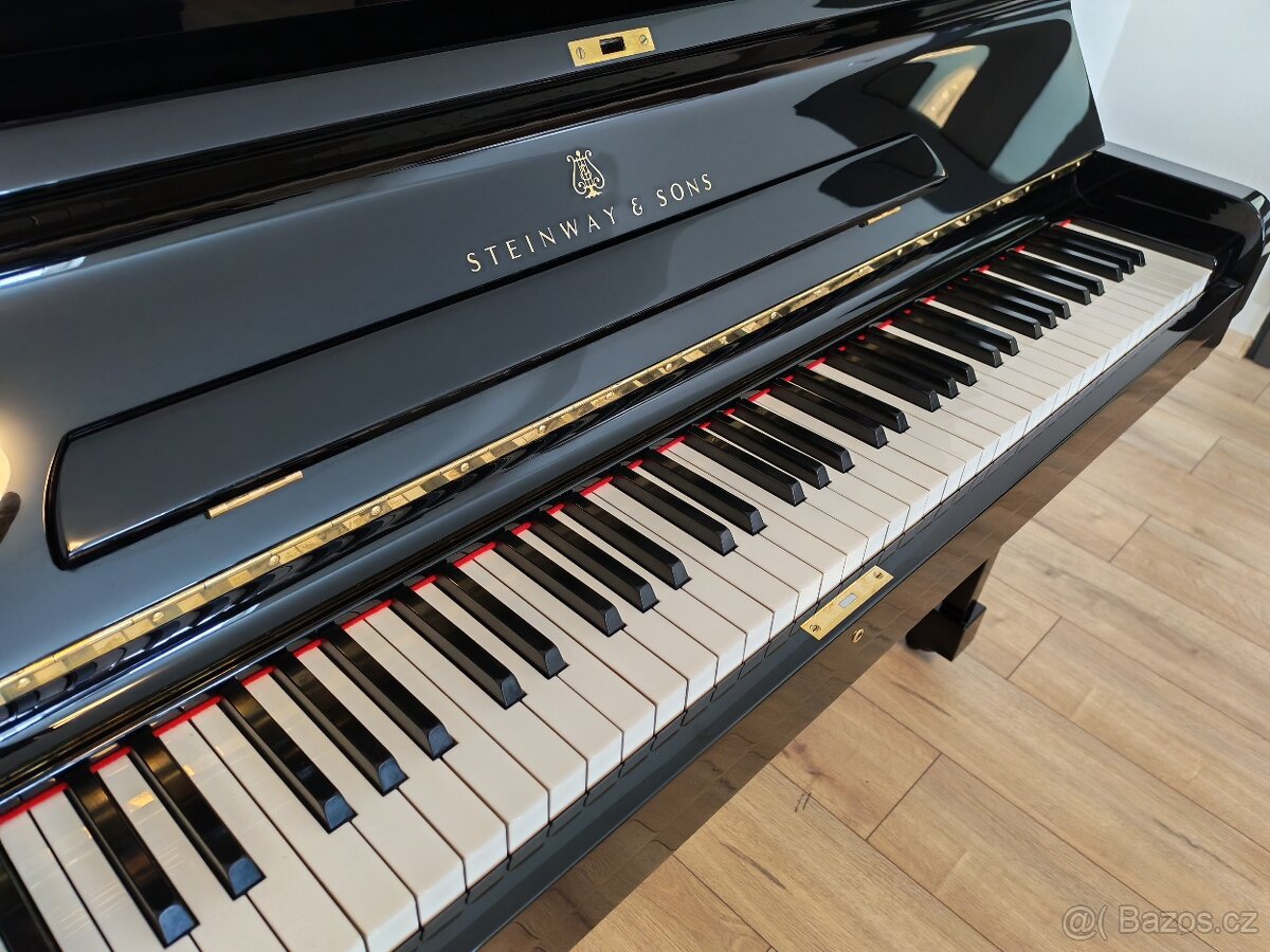 Steinway and Sons dovoz celá ČR - 3