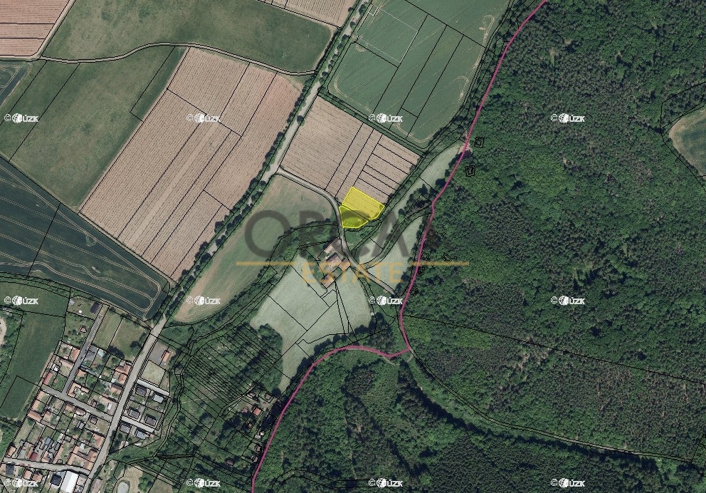 Podíl na pozemcích v k.ú. Pnětluky - 3