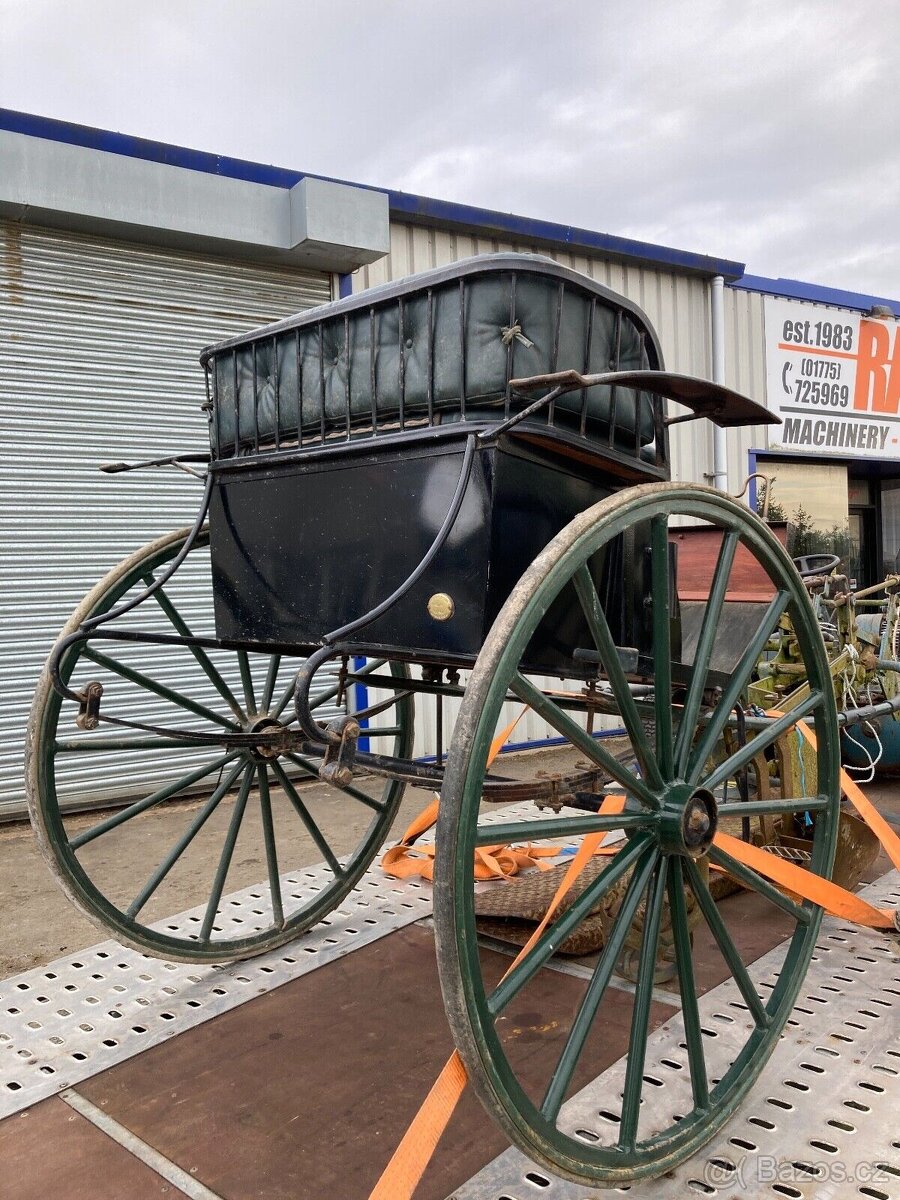 sulka riksa gig dvojkolka jako maratonak/morgan kone popruhy - 3