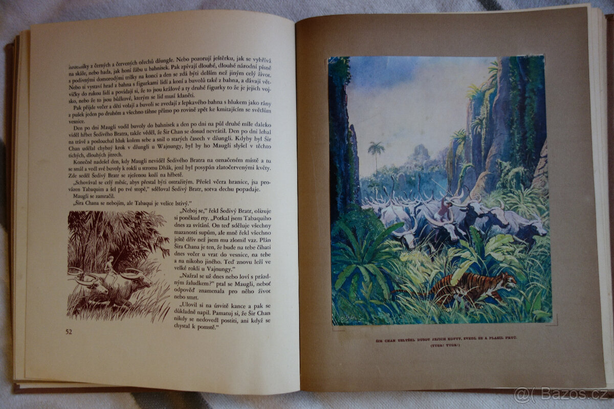Kniha džunglí_vydání z r. 1931 - 3