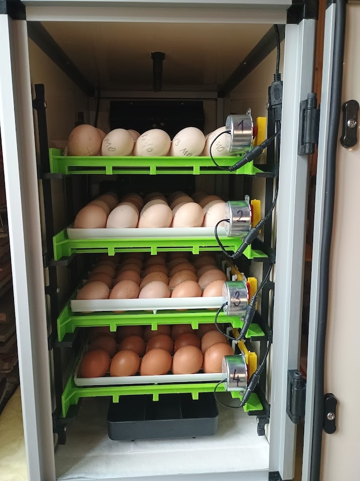 VONÉ MÍSTO V LÍHNI - 3