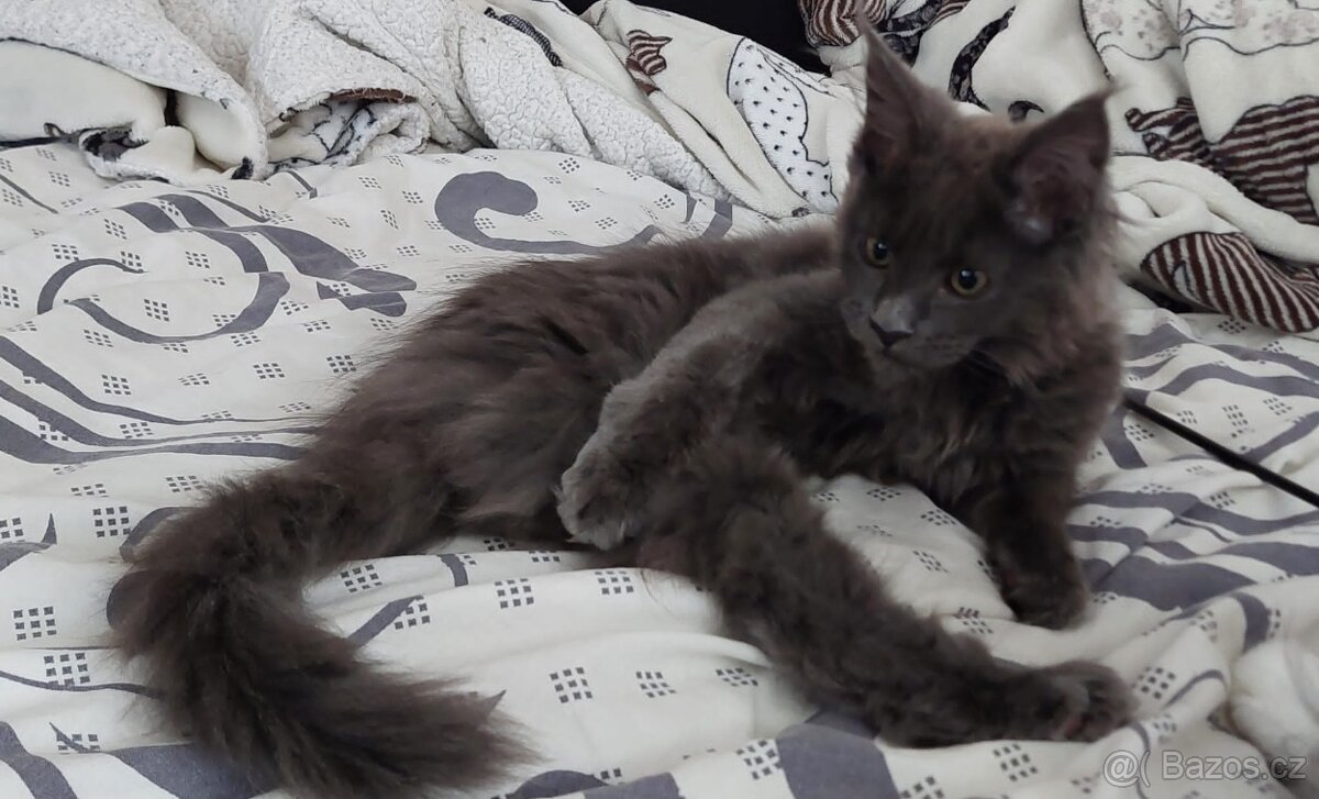 Poslední modrá holčička - 3