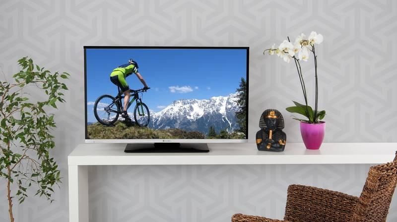 Prodám funkční málo používaný barevný Televizor 22"GOGEN - 3