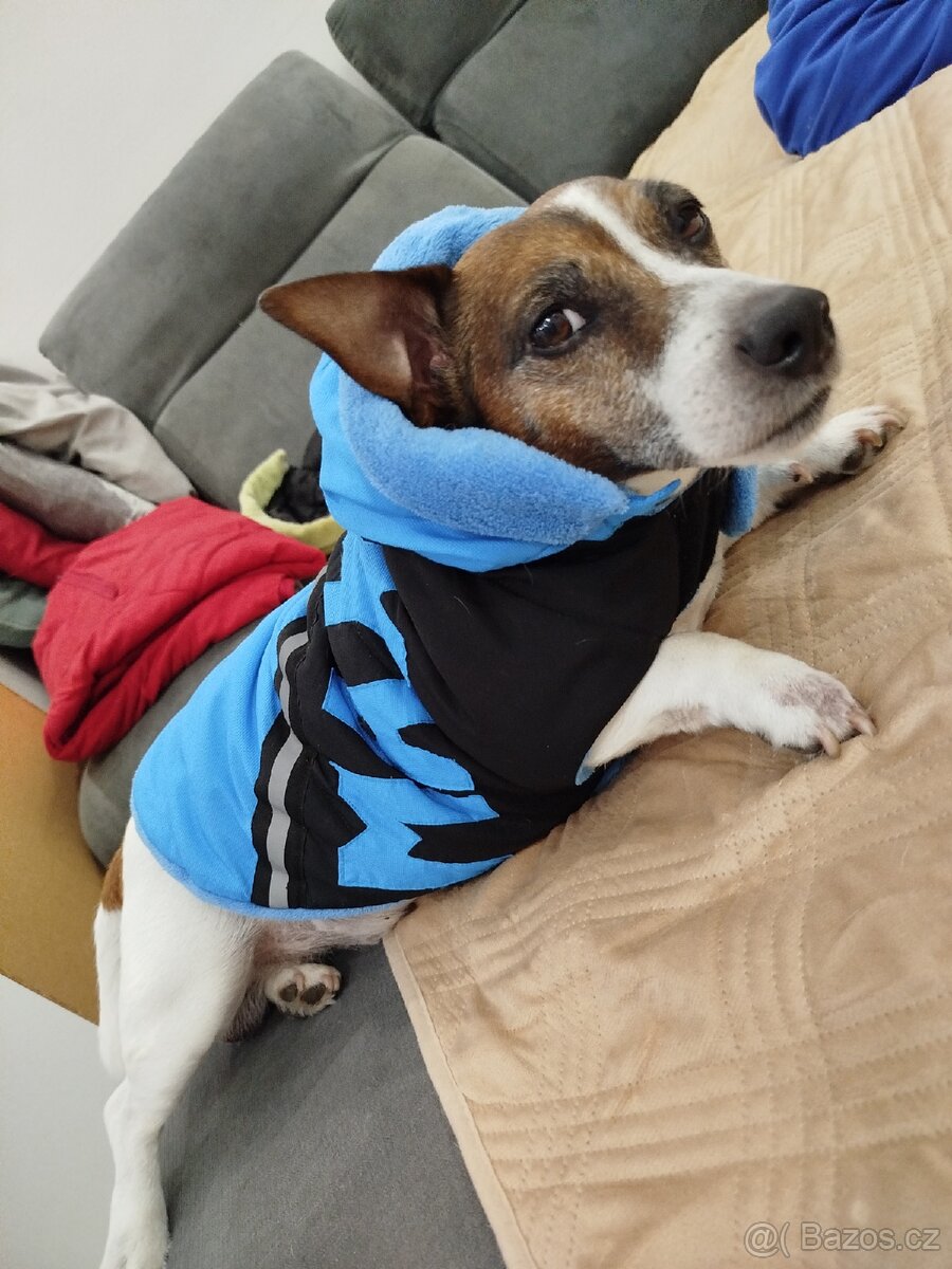 Prodám psí obleček - 3