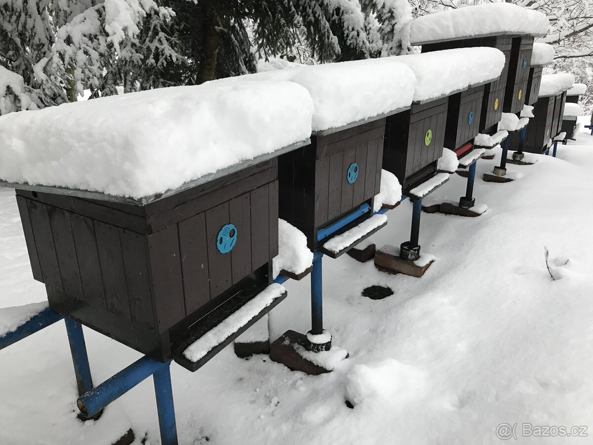 Včelí MED od včelaře, 10 + 1 sklenice ZDARMA, možnost zaslat - 3