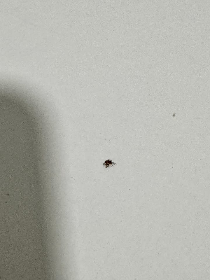 Kancelářský stůl v bílém dekoru - 3