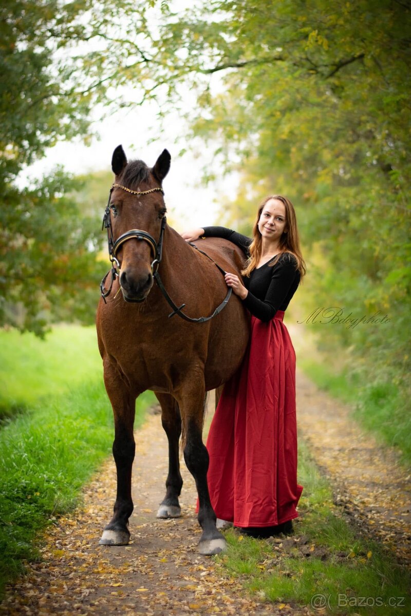 Valach na rekreaci slovensky športový pony 150vkh - 3