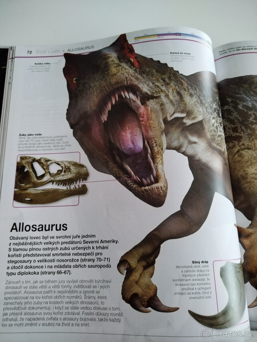 Dinosauři v kostce - 3