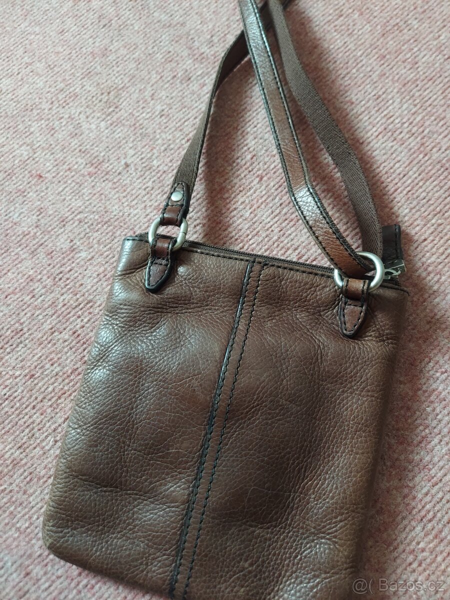 Kabelka fossil - 3