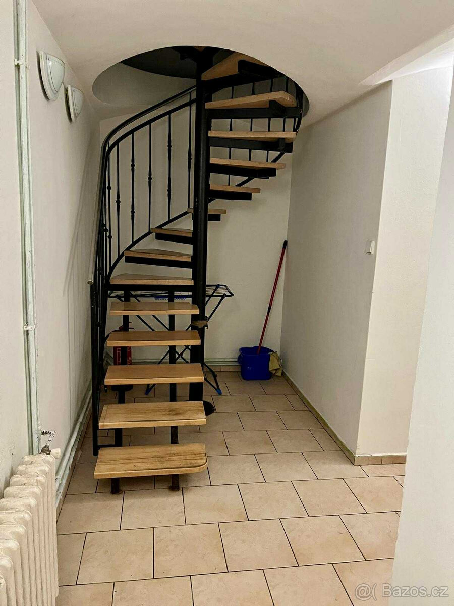 pronajmu byt 2+1 - 3