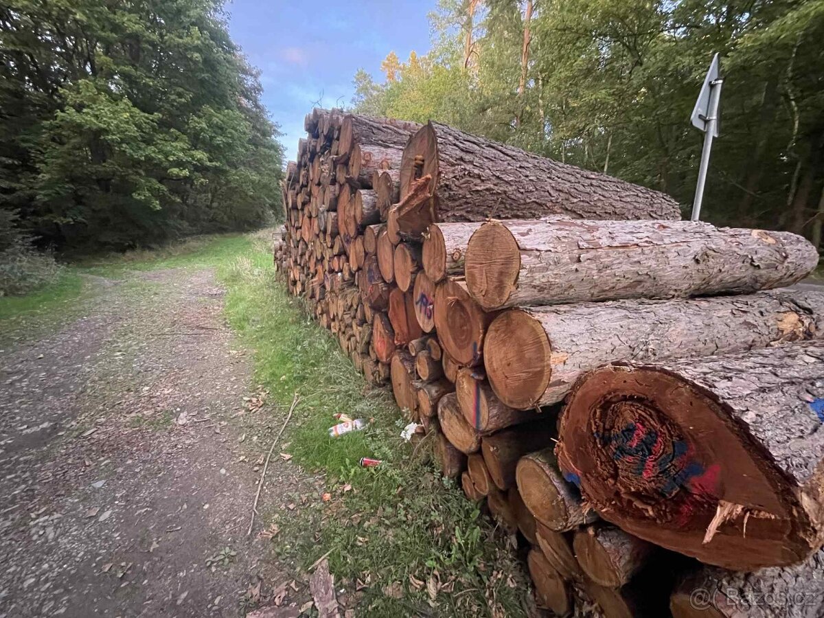 Kvalitní dřevo na topení – od 900 Kč - 3