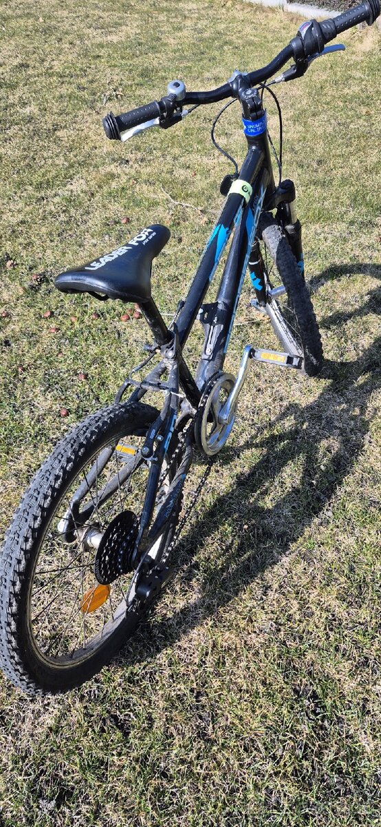 Leader Fox Selma 20" - 3