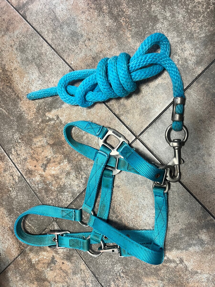 Ohlavka equitheme - 3