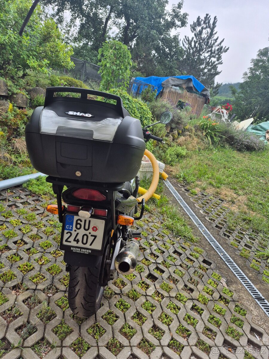 Suzuki GSF 600 Bandit - 3
