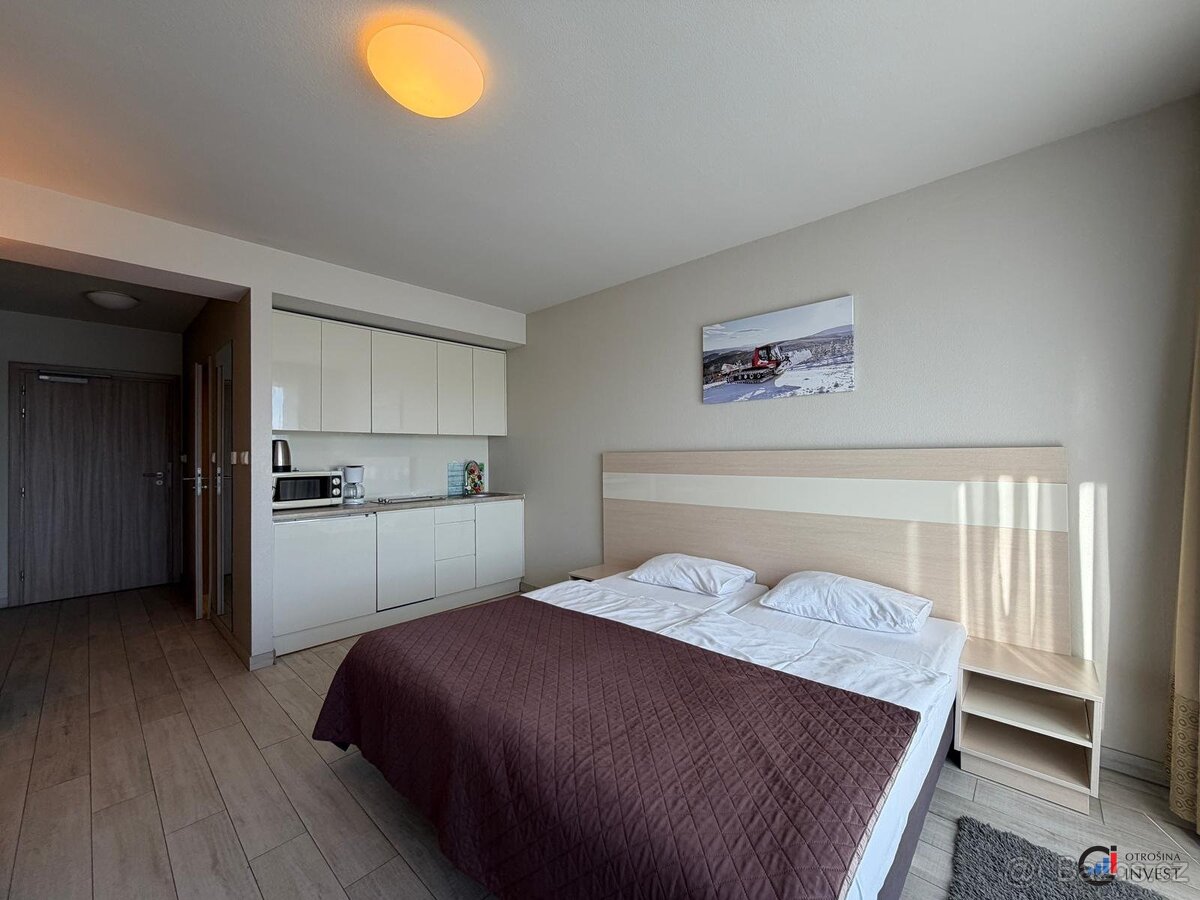 Prodej apartmánu 28 m², Dolní Morava, ev.č. 00741 - 3