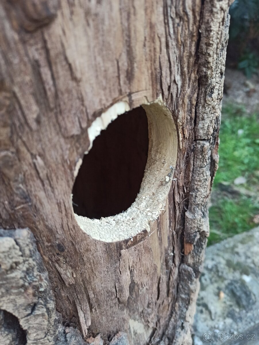 Kmenová budka - 3