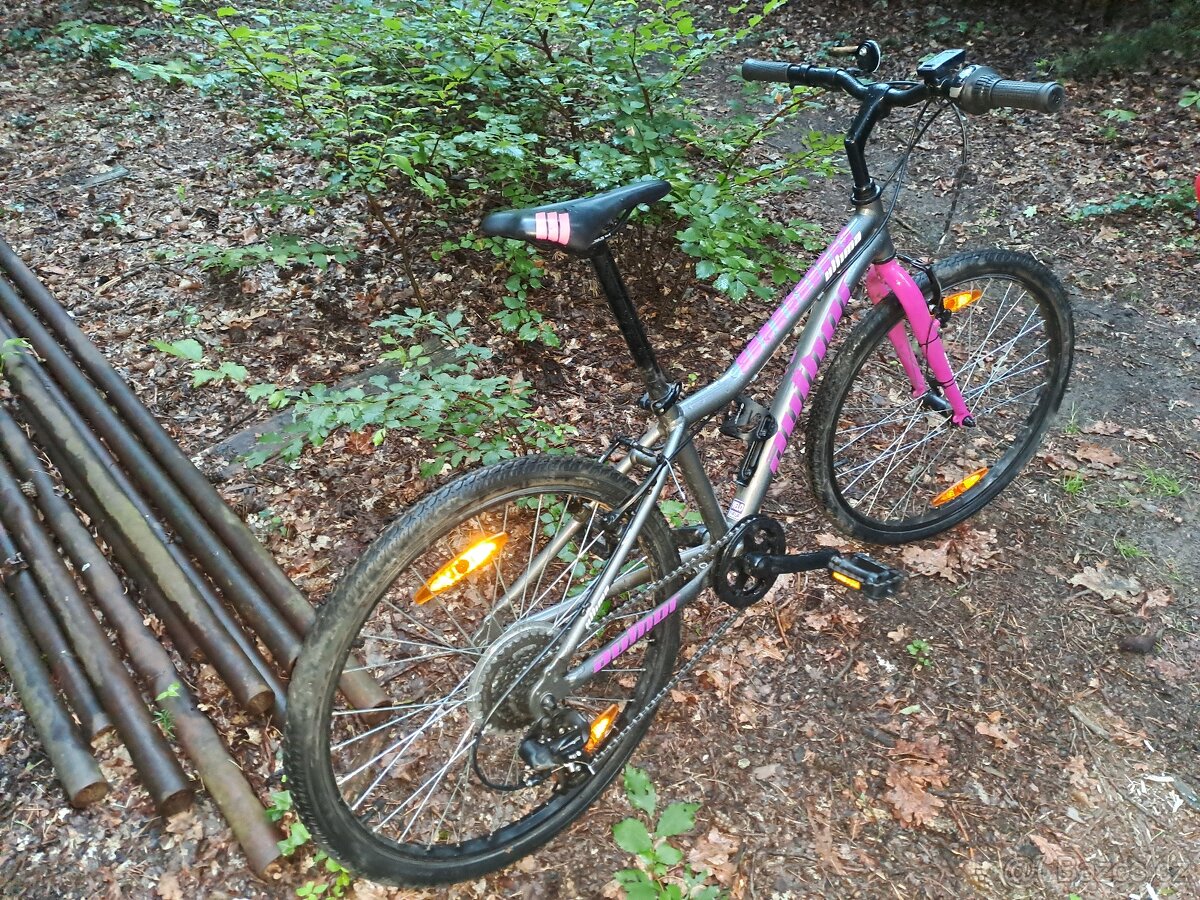 Author ultima 24 - 3