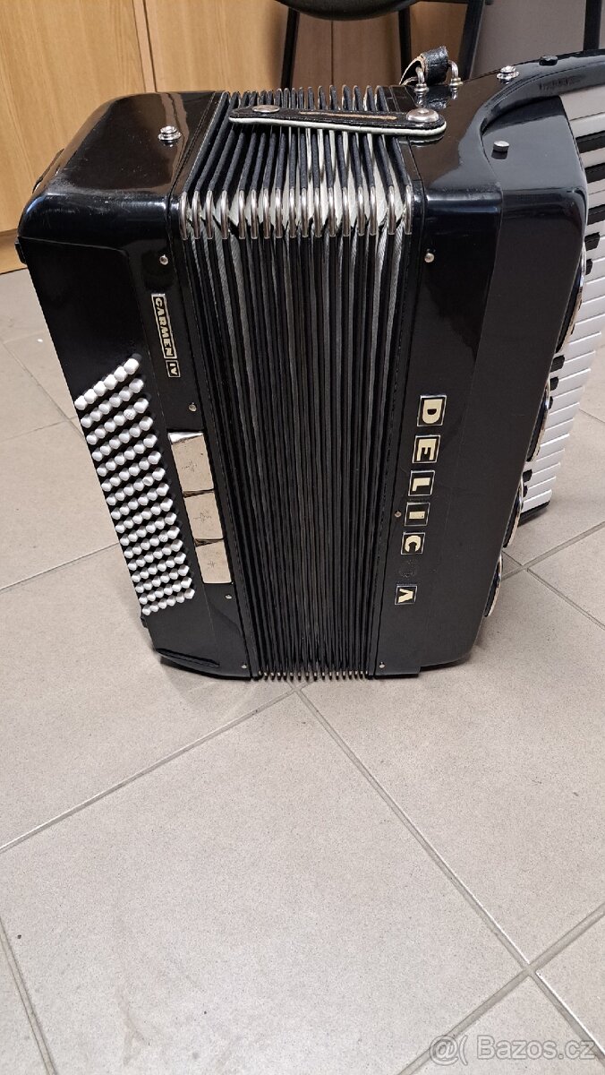 Akordeon delicie - 3