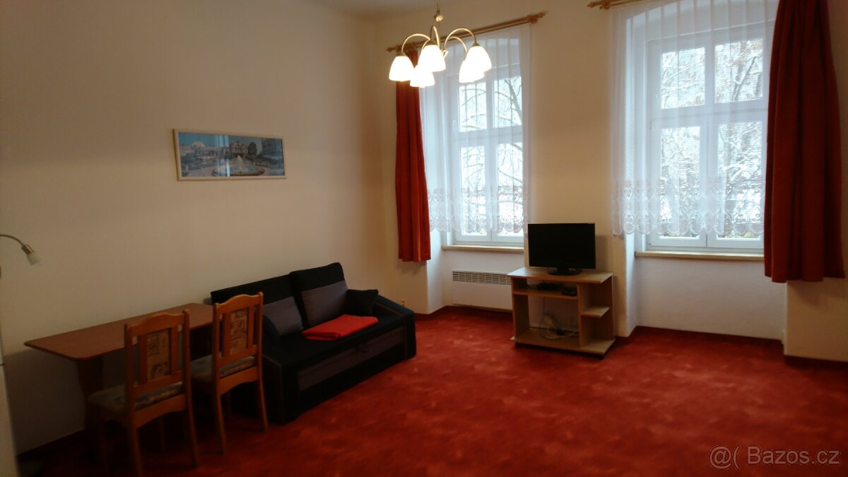 Pronájem 2+1 Karlovy Vary - 3