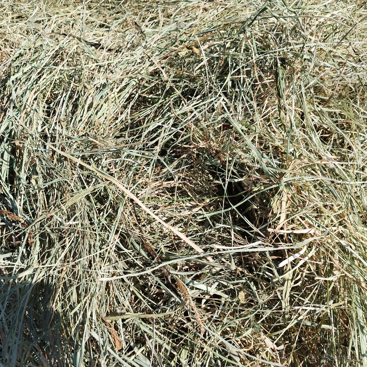 Prodám malé hranaté balíky sena - 3