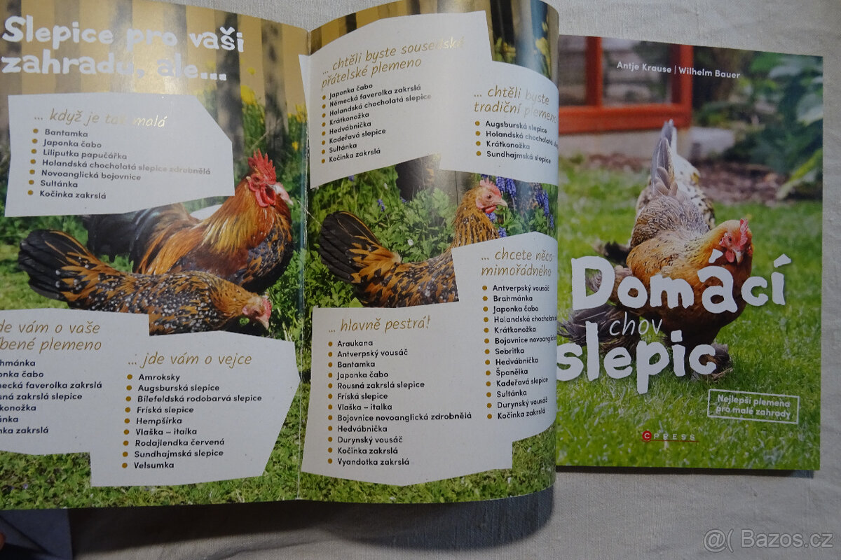 Domácí chov slepic - 3