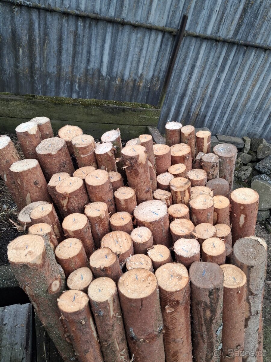 Dřevěné kůly, oplocenka - 3