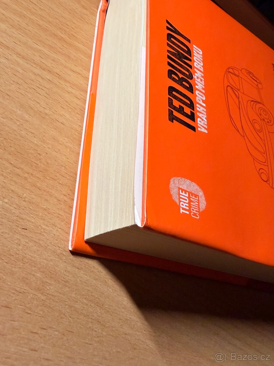 Ted Bundy vrah po mém boku - 3
