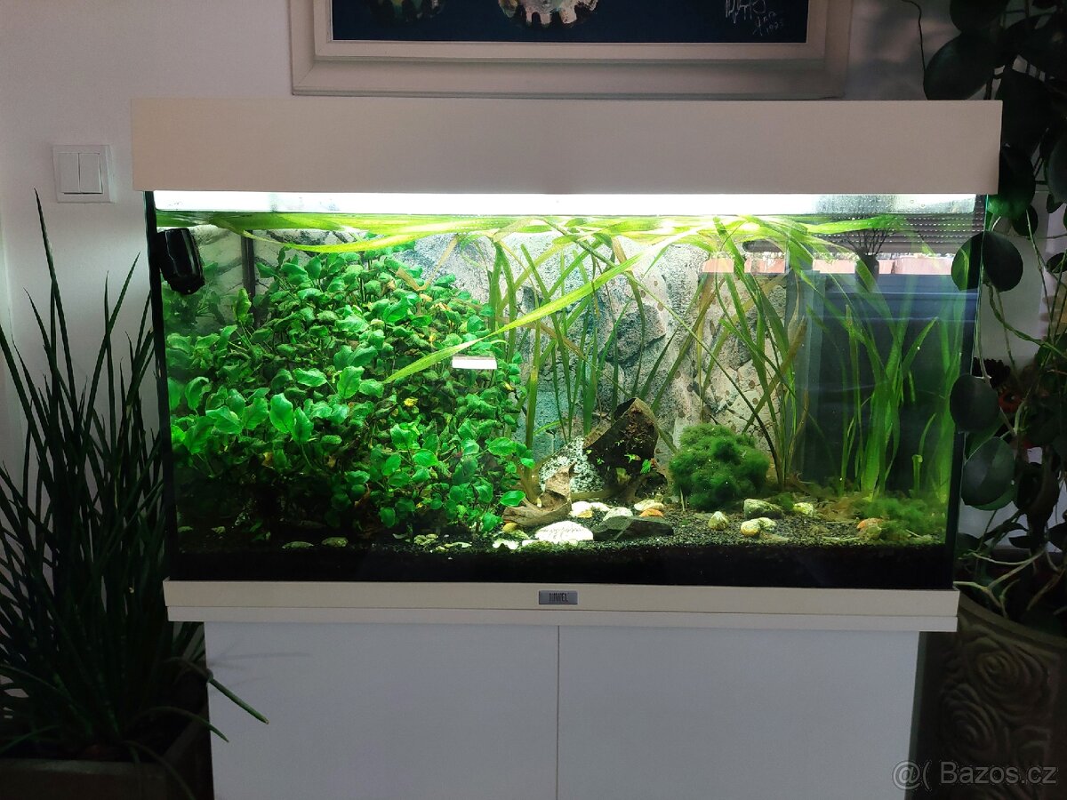 Juwel aquarium 125l + prislusenstvi - 3