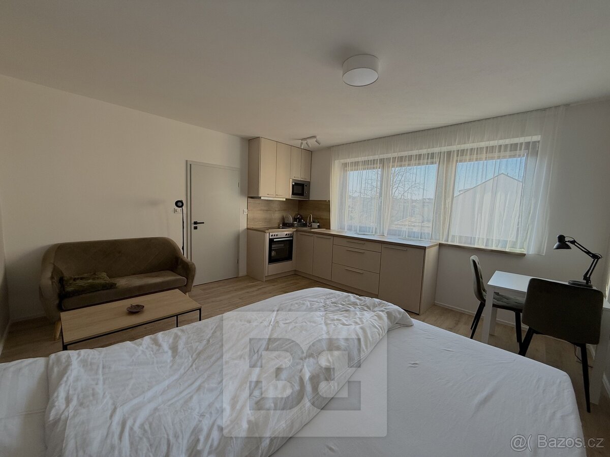 Pronájem bytu 1+kk 27 m², České Budějovice 6, ev.č. N08663 - 3