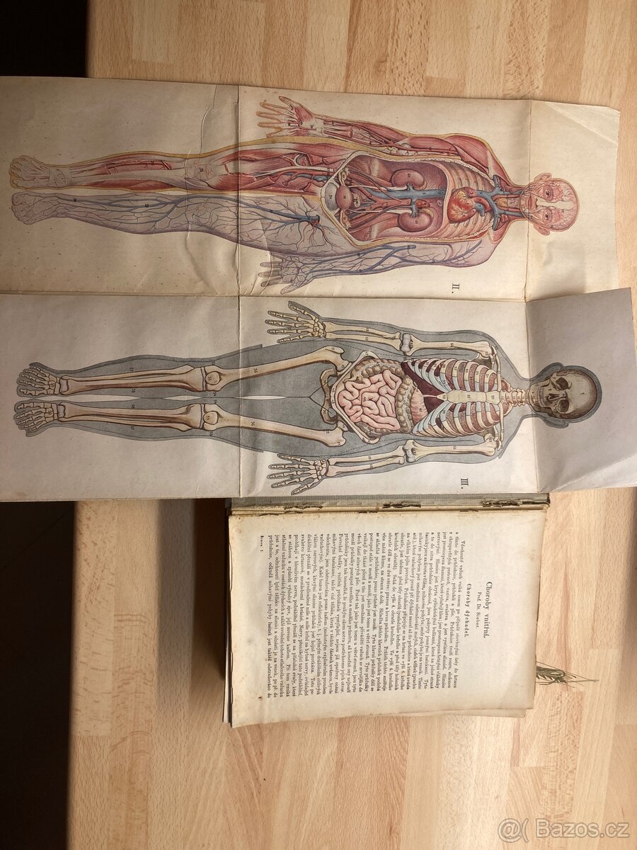 Historické vydání z roku 1923 - Domácí lékař - oba díly - 3