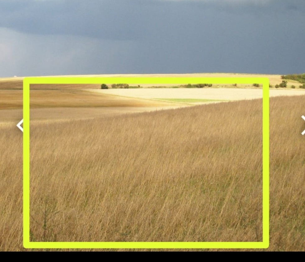 Pronajmu pole o rozloze 10000m2 Červený Hrádek u Plzně - 3