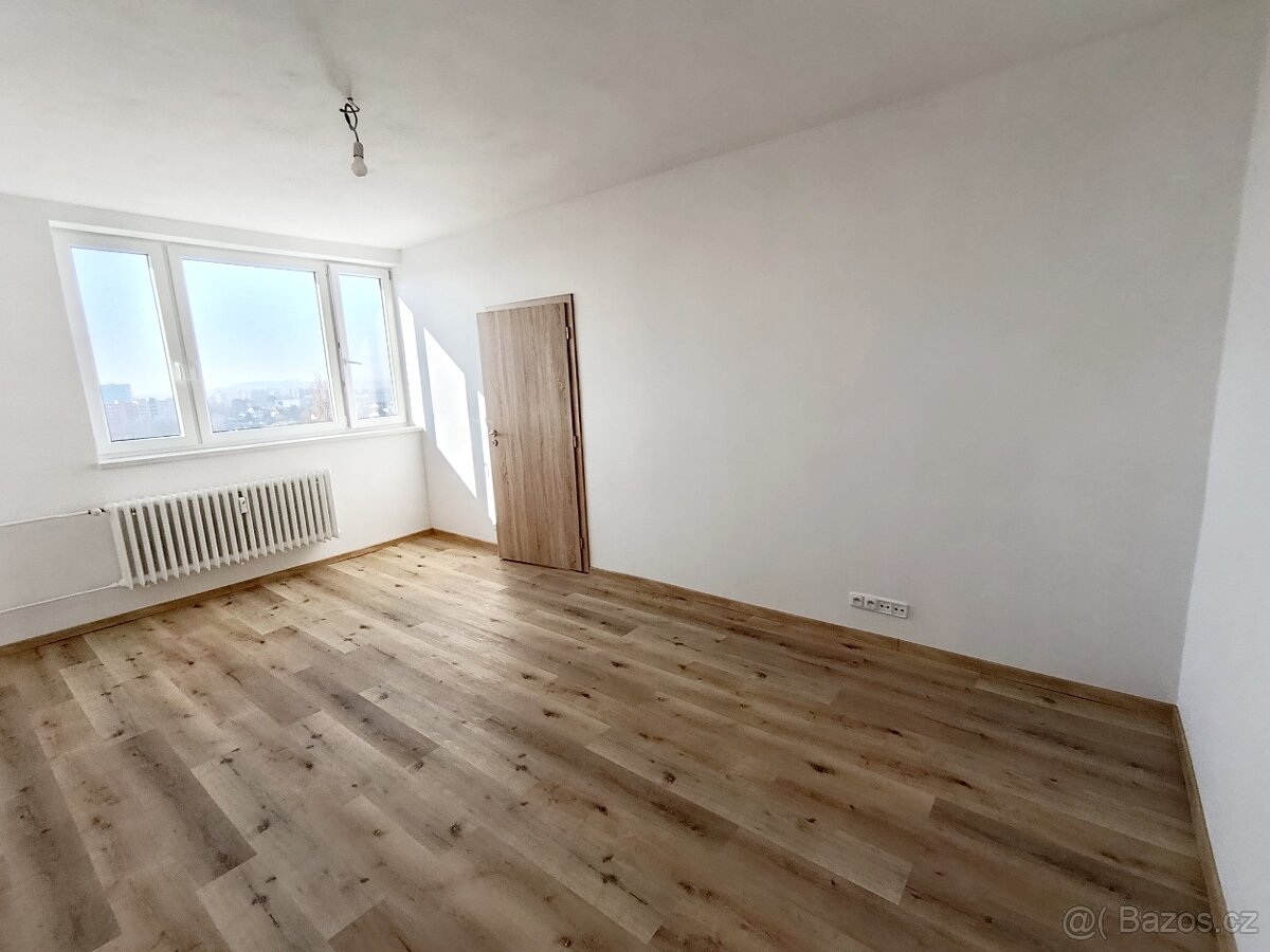 Pronájem bytu 1 + 1 - 3