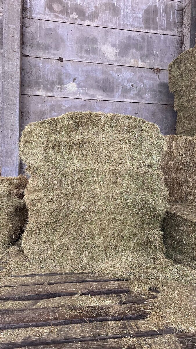 Seno - hranaté balíky - 3