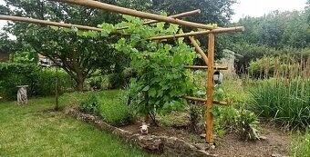 ZAHRADA S CHATOU - TEPLICE - 3