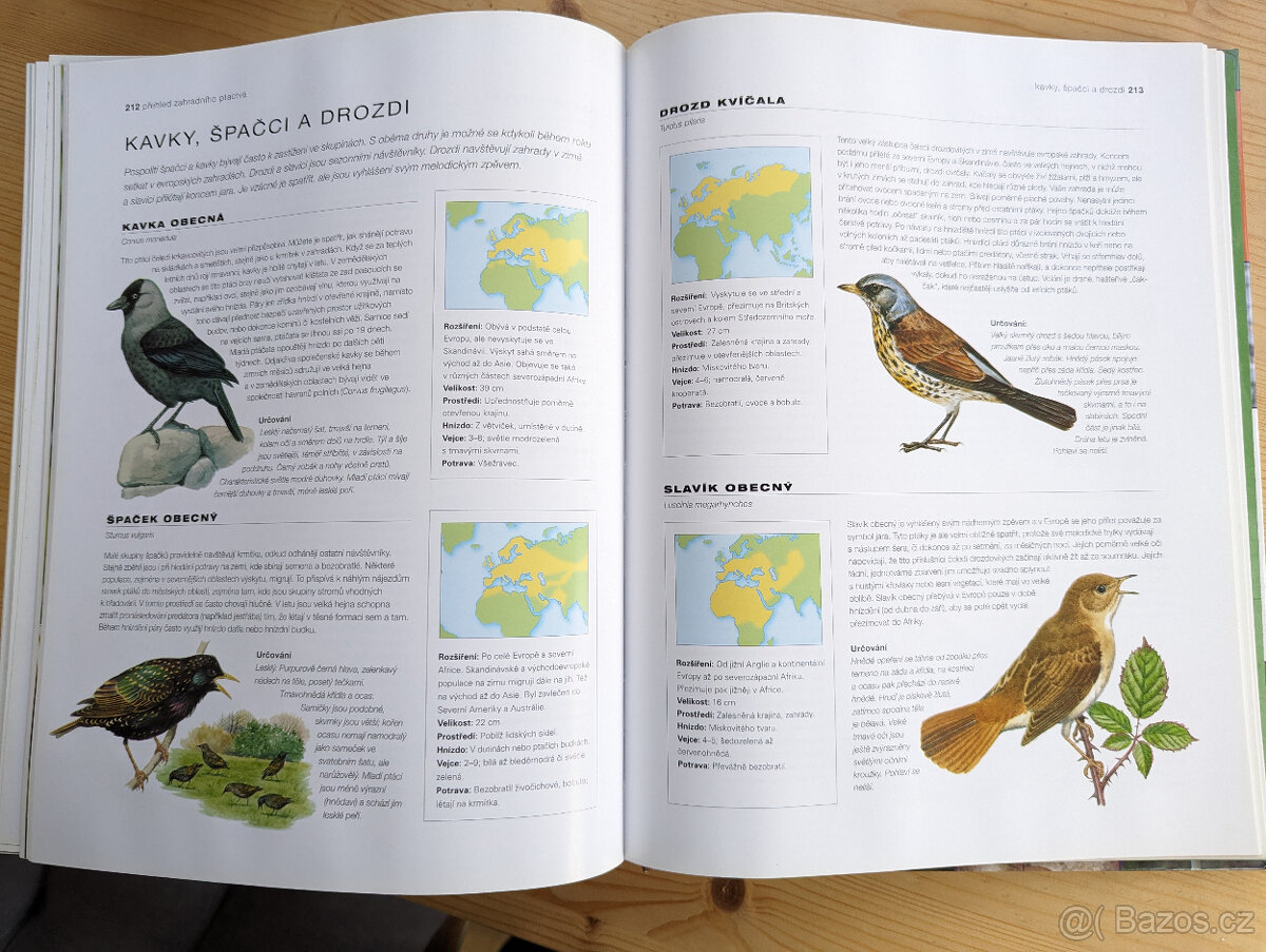 Ptáci na zahradě - 3