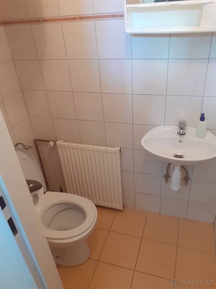 DŮM V ŽÁDOVICÍCH U KYJOVA - 3